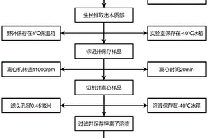 提取木質(zhì)部液流中鉀離子的方法