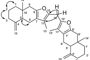 具有抗腫瘤活性的化合物及其制備方法與應(yīng)用