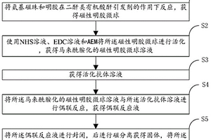 凝膠化免疫磁珠及其制備方法與用途