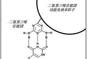 二氨基三嗪官能團功能化納米粒子及其制備和使用方法