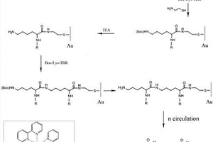 三聯(lián)吡啶釕?賴氨酸聚合物固相合成方法