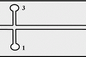 Fe3O4@Au-BSA磁性納米復(fù)合物的制備及其手性分離應(yīng)用