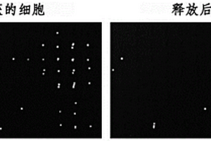 胎兒細(xì)胞捕獲模塊、用于胎兒細(xì)胞捕獲的微流控芯片，及它們的使用方法