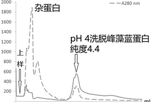 親和樹脂、制備方法及其在分離純化藻藍(lán)蛋白中的應(yīng)用