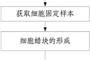 完整呈現(xiàn)惡性腫瘤細(xì)胞位置的細(xì)胞塊石蠟切片制作方法