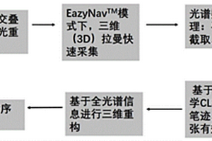 利用全局三維（3D）拉曼光譜成像技術(shù)鑒定朱墨順序的方法