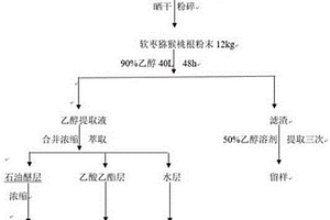 軟棗獼猴桃根提取物、提取分離方法及其應(yīng)用