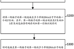 構(gòu)建核酸文庫(kù)的方法和試劑盒