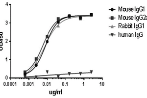 micropolymer-HRP-納米抗體復(fù)合物及其制備方法