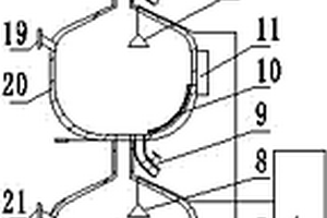 華支睪吸蟲(chóng)成蟲(chóng)染色標(biāo)本制作裝置