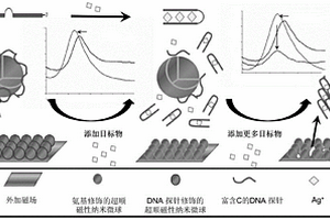 核酸修飾的超順磁性光子晶體傳感材料、制備方法和應(yīng)用