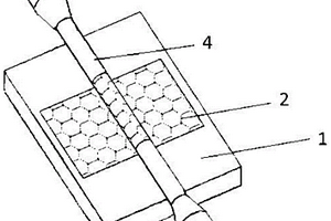 采用石墨烯覆蓋的微光纖氣體傳感器