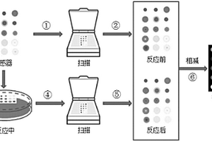 基于嗅覺成像傳感技術的黃酒酒齡鑒別方法和鑒別系統(tǒng)