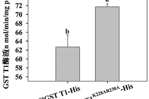酶活提高的谷胱甘肽S-轉(zhuǎn)移酶突變體及其應(yīng)用