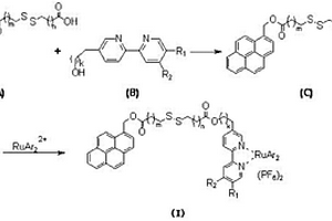 二硫醚雙發(fā)色團(tuán)類(lèi)化合物及其合成方法和應(yīng)用