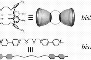 雙橋連磺化杯芳烴構(gòu)筑的超分子聚合物材料及其制備