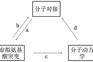 分子模擬石房蛤毒素特異性多肽的篩選方法及應(yīng)用