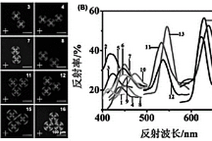 基于分子萃取和溶劑溶脹同時作用地帶隙可調(diào)制的膽甾型液晶微滴及其制備方法和應用