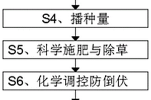 提高小麥中β-葡聚糖含量的種植方法