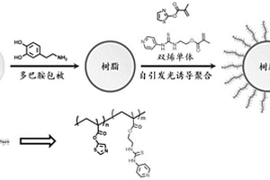 鉑族元素特效樹脂及其制備方法和應用