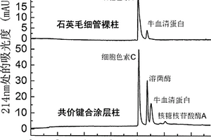 抗蛋白吸附毛細管電泳共價鍵合涂層柱的制備方法