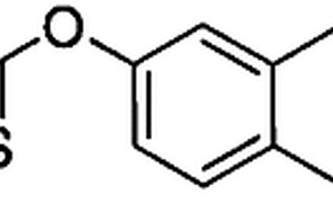 雙反應(yīng)位點(diǎn)熒光探針