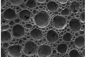 導(dǎo)電性蓮蓬形微孔發(fā)泡功能薄膜及其制備方法