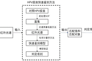 鑒別HPV疫苗真假的方法