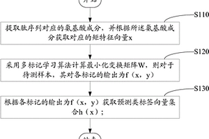 基于多標(biāo)記學(xué)習(xí)的抗菌肽活性預(yù)測(cè)方法