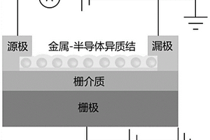 熱載流子注入型單像素光電探測(cè)器件、制備方法及系統(tǒng)