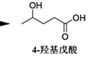 催化劑及其該催化劑的應(yīng)用、制備、性能測(cè)試方法