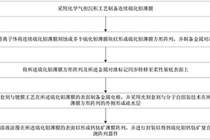 硫化鉬鈣鈦礦復(fù)合柔性光探測(cè)陣列器件及其制備方法