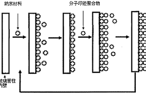 痕量真菌毒素分子印跡柱制備方法及應(yīng)用