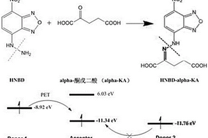 alpha-酮戊二酸的熒光/紫外分子探針的制備方法及其在生物樣本中的應(yīng)用