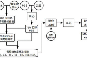 用飛行時間質(zhì)譜做葡萄糖定量的方法