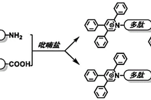 氨基化合物的衍生化方法及其應用