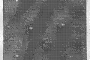 熒光量子點標記的DNA生物探針及其制備方法