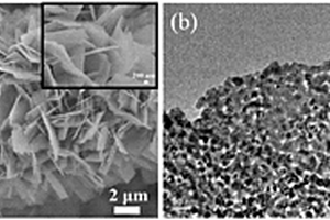 具有高靈敏度的Co<sub>3</sub>O<sub>4</sub>多孔納米片非酶基葡萄糖傳感器及其制備方法