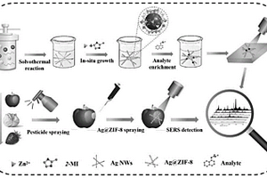基于Ag@ZIF-8核殼納米鏈的表面增強(qiáng)拉曼基底的制備方法及應(yīng)用