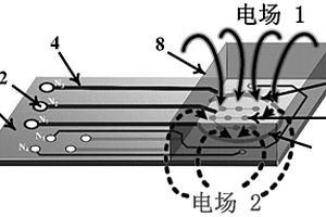 雙電場驅(qū)動(dòng)傳感器的制備方法及其應(yīng)用