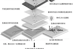 樣品處理裝置及含有該裝置的生物活性篩選系統(tǒng)