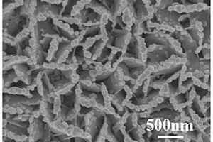 Cu<Sub>2</Sub>O@BiOI復合材料及其制備方法和應用