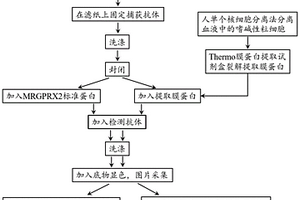 基于共價(jià)鍵合法固定捕獲抗體的紙基酶聯(lián)免疫吸附法