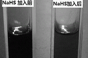 硫化氫分子熒光探針及其制備方法和應用