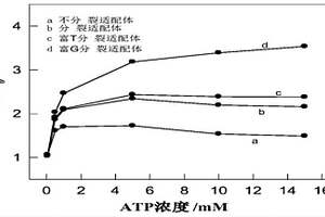 信號增強(qiáng)型人血清ATP熒光傳感器