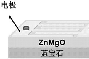 ZnMgO紫外探測(cè)器