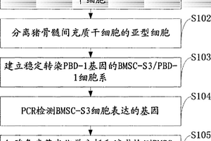 可防治豬支原體肺炎的干細(xì)胞制劑的制備方法