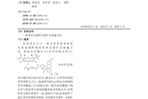 雙發(fā)色團(tuán)熒光探針及制備方法