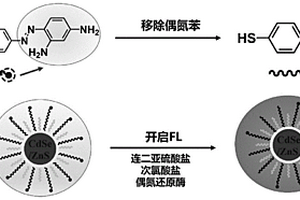 基于偶氮苯-量子點(diǎn)的熒光探針及制備方法以及其在分子開關(guān)型熒光傳感器中的應(yīng)用