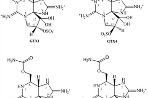 麻痹性貝類毒素標準溶液的制備方法